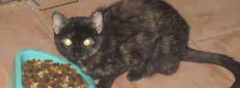 t Bild von Tess