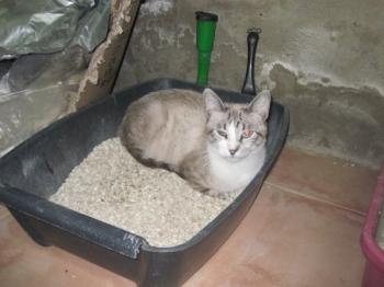 m Bild von Mina