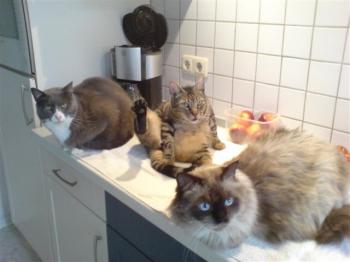Bild von Klaus