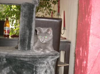 t Bild von Tyra