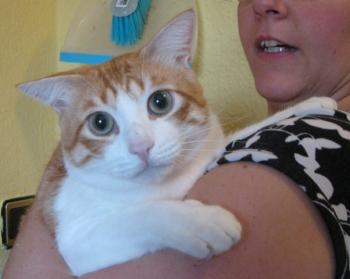 m Bild von Milow
