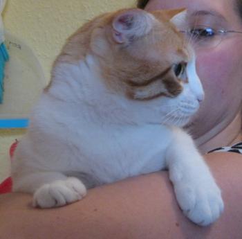 m Bild von Milow