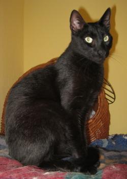 m Bild von Melanio