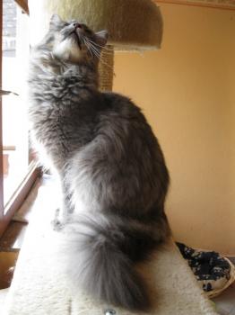 m Bild von Moris