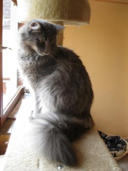 m Bild von Moris