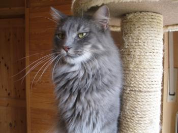 m Bild von Moris