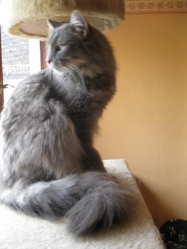 m Bild von Moris