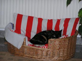 Bild von Uri