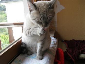 Bild von Tino