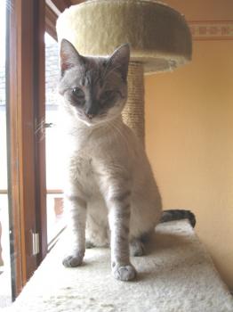Bild von Tino