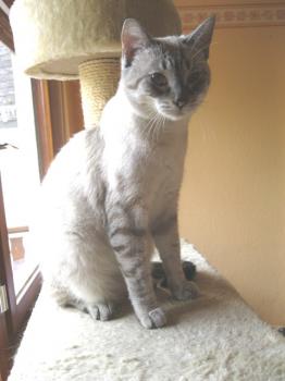 Bild von Tino