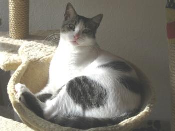 m Bild von Momo