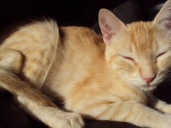 n Bild von Nina
