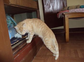 n Bild von Nina