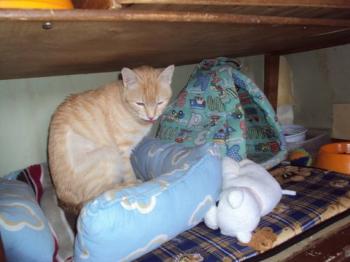 n Bild von Nina