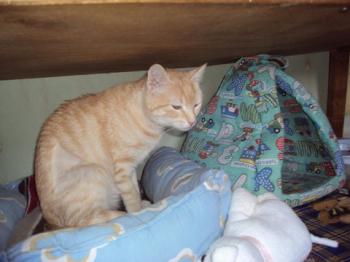 n Bild von Nina