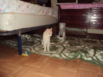 n Bild von Nina