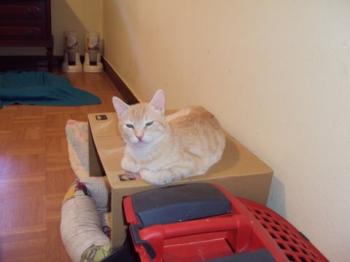 n Bild von Nina