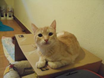 n Bild von Nina