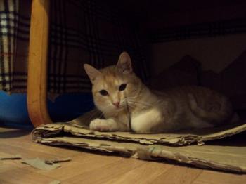 n Bild von Nina