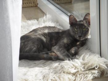 y Bild von Yumi