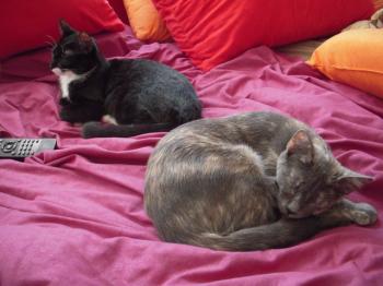 y Bild von Yumi