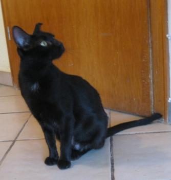 Bild von Bella