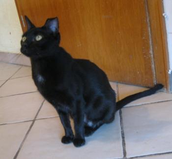 Bild von Bella