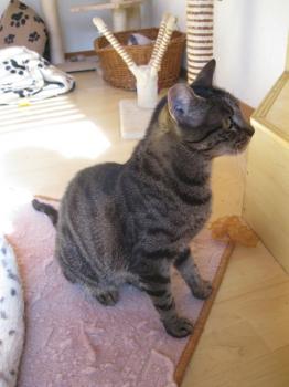 Bild von Cutie Pie