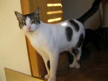 m Bild von Momo