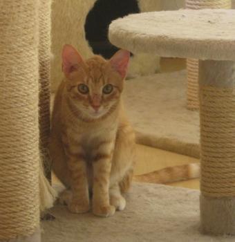 Bild von Tuna