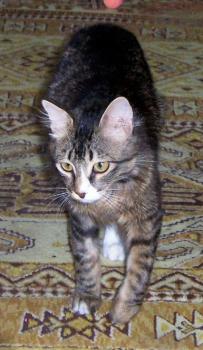 Sam Bild von Sam