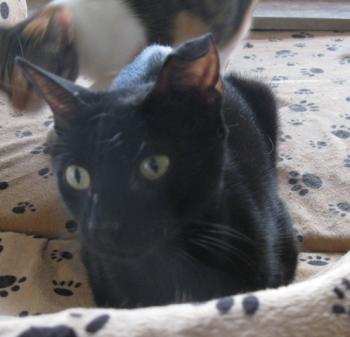 Bild von Bella