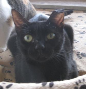 Bild von Bella