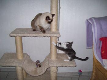 Bild von Grey