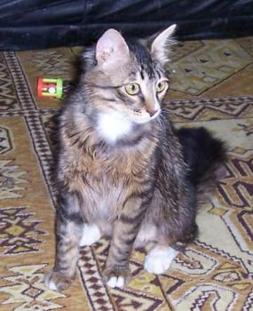 Sam Bild von Sam