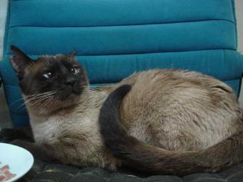 Lenny Bild von Lenny