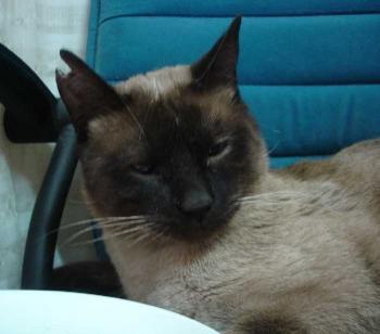 Lenny Bild von Lenny