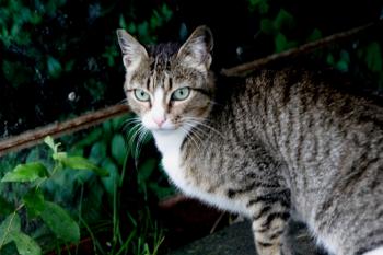 Bild von Sarita