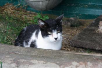 b Bild von Beto