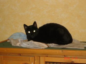s Bild von Stina