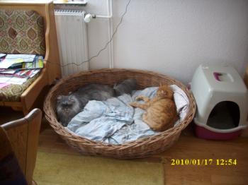 Bild von Paco