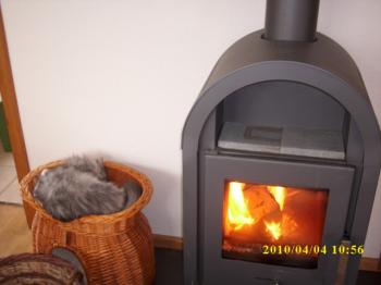 Bild von Paco