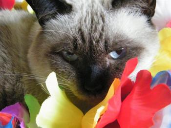 Norry Bild von Norry