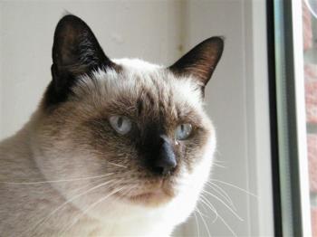 Norry Bild von Norry