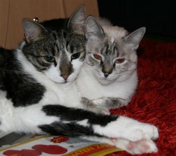 Lucia Bild von Lucia