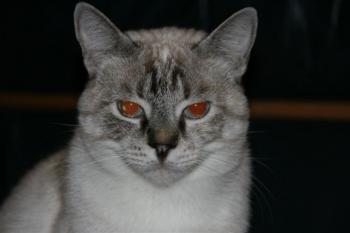 Lucia Bild von Lucia