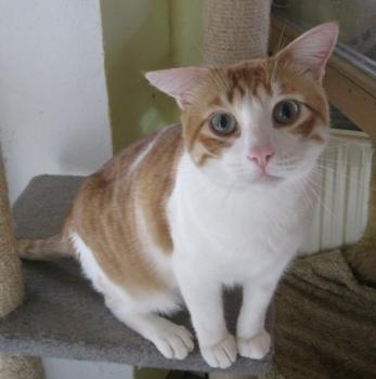 m Bild von Milow