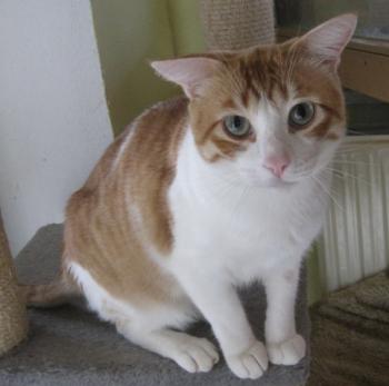 m Bild von Milow