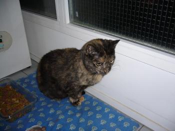l Bild von Lena